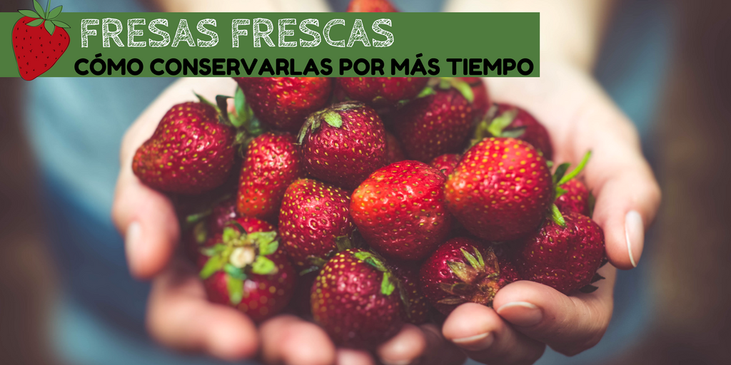 https://laespatulaverde.com/wp-content/uploads/2017/09/twitter-como-conservar-fresas-frescas-por-mas-tiempo.png